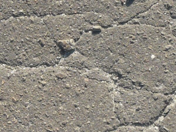 Asphalt texture with a rough, grey, cracked and uneven surface, and a few small white rocks on it.